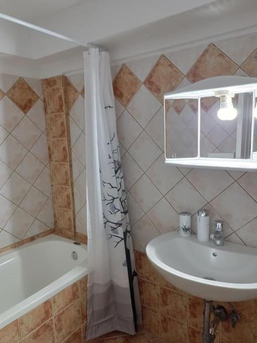 Trikala Alex House Apartamento Exterior foto